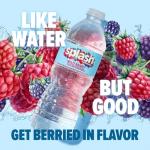 SPLASH REFRESHER Wild Berry Flavored Water - 6-Pack
