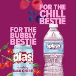 SPLASH REFRESHER Wild Berry Flavored Water - 6-Pack