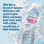 SPLASH REFRESHER Wild Berry Flavored Water - 6-Pack