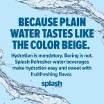 SPLASH REFRESHER Wild Berry Flavored Water - 6-Pack