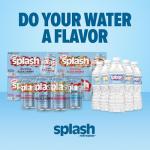 SPLASH REFRESHER Wild Berry Flavored Water - 6-Pack