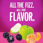 Izze Sparkling Juice Variety Pack, 24 Count