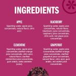 Izze Sparkling Juice Variety Pack, 24 Count