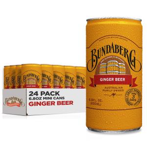 Ginger Beer Cans, 24-Pack, 6.8 fl oz