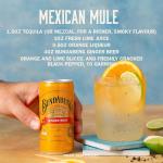 Ginger Beer Cans, 24-Pack, 6.8 fl oz