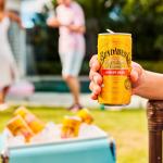 Ginger Beer Cans, 24-Pack, 6.8 fl oz