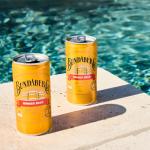 Ginger Beer Cans, 24-Pack, 6.8 fl oz