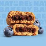Blueberry Fig Bars by Nature's Bakery, 6 Pack