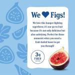 Blueberry Fig Bars by Nature's Bakery, 6 Pack