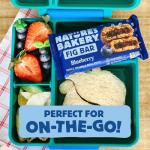 Blueberry Fig Bars by Nature's Bakery, 6 Pack