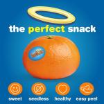 Sweet and Seedless Easy Peel Mandarins, 3lb