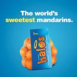 Sweet and Seedless Easy Peel Mandarins, 3lb