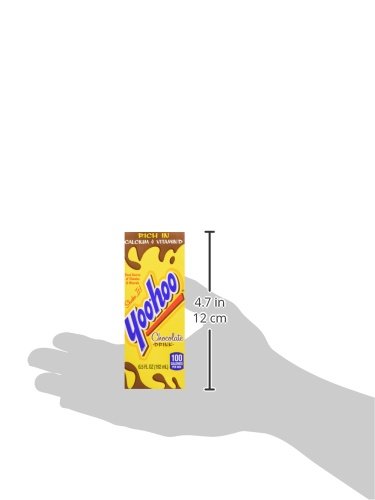 Yoo-hoo Chocolate Drink - 32 Pack, 6.5 fl oz