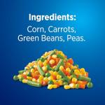 Birds Eye Steamfresh Mixed Frozen Vegetables, 10 OZ