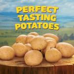 Ore-Ida Crispy Tater Tots, 32 oz Bag