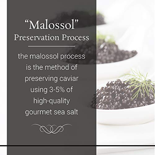 OLMA Siberian Osetra Black Caviar - Medium Grain