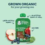 Organic Baby Food Pouches, Fruit & Veggie Pack