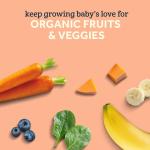 Organic Baby Food Pouches, Fruit & Veggie Pack