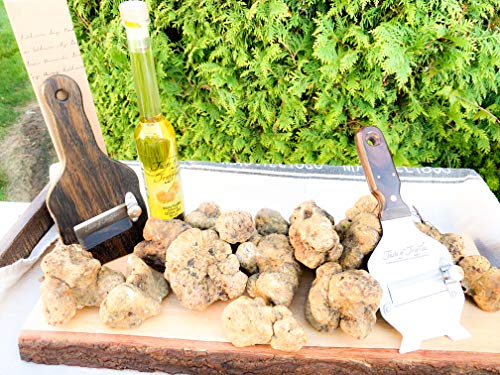 Fresh White Truffles by Taste of Truffles