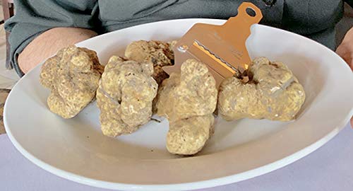 Fresh White Truffles by Taste of Truffles