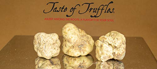 Fresh White Truffles by Taste of Truffles