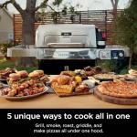 Ninja FlexFlame 5-in-1 Electric and Propane Grill