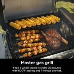 Ninja FlexFlame 5-in-1 Electric and Propane Grill