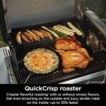 Ninja FlexFlame 5-in-1 Electric and Propane Grill