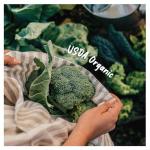 Organic Veggie Tray with Ranch Dip, 16oz