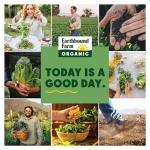 Organic Veggie Tray with Ranch Dip, 16oz