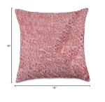 Wagyu A5 Kobe Ribeye Beef Throw Pillow