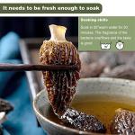 KASVAN Dried Morel Mushrooms – Rich Flavor, 1 Ounce
