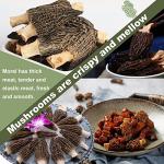 KASVAN Dried Morel Mushrooms – Rich Flavor, 1 Ounce