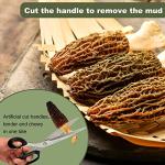 KASVAN Dried Morel Mushrooms – Rich Flavor, 1 Ounce