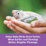 Kaytee Exact Instant Baby Bird Handfeeding Formula