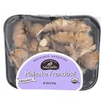 Organic Maitake Mushrooms for Cooking