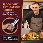 Stainless Steel Poultry Shears with Ergonomic Handles