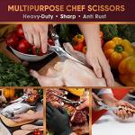 Stainless Steel Poultry Shears with Ergonomic Handles