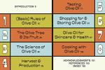 Olive Oil Guide: From Tree to Table