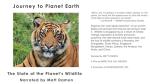 Planet Earth: Wildlife Exploration and Insights