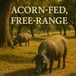 Iberico Acorn-Fed Sliced Jamon Pata Negra 3 oz