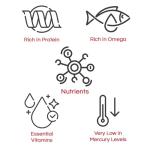 Wild Maine Lobster Tails - Individually Frozen (5 Pack)