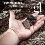 GL Truffle Gourmet Whole Black Summer Truffle 35g
