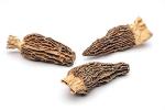 Dried Morel Mushrooms by Slofoodgroup, 2 oz