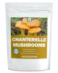 Dried Chanterelle Mushrooms - All-Natural, 2.5 oz