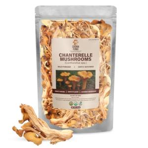 Dried Chanterelle Mushrooms for Gourmet Cooking