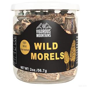 Dried Wild Morel Mushrooms for Gourmet Cooking