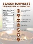 Dried Morel Mushrooms 2oz – Gourmet Flavor