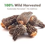 Dried Wild Morel Mushrooms for Gourmet Cooking