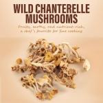 Dried Chanterelle Mushrooms for Gourmet Cooking